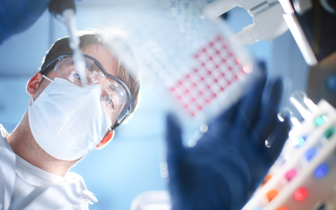 scientist doing tests stock image