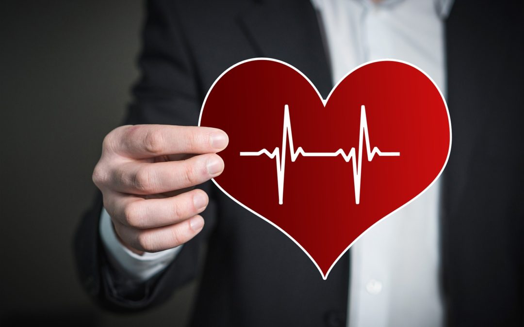 person holding heart stock image