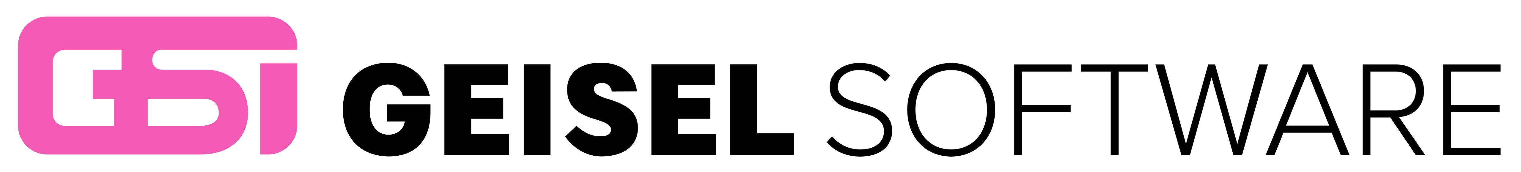 Geisel Software Logo Geisel Software Logo
