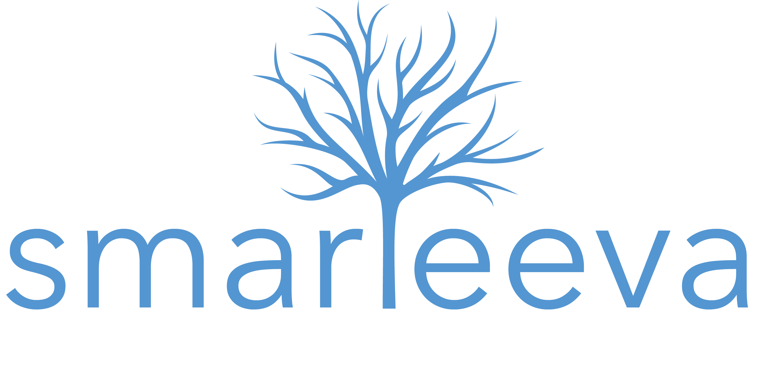 Network Partners Logo